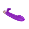 Vibrator Stimulation Klitoris Vagina GM-095